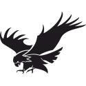 Орел с раскрытыми Крыльями