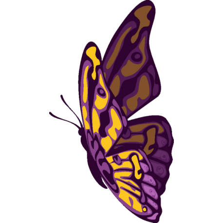 Бабочка 50