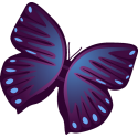 Бабочка 52