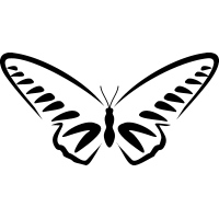 Бабочка 65