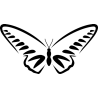 Бабочка 65