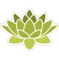 Зелёный цветок лотоса