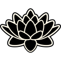 Черно-белый цветок лотоса