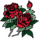 Ветка красной розы