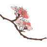 Ветка деревья с цветами