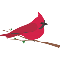 Красная птица сидящая на ветке