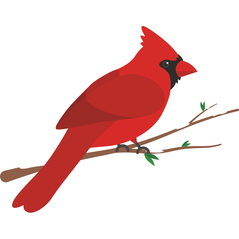 Группа красные птицы. Птичка рисунок. Красная птица. Красная мультяшная птица. Красная птичка для детей.