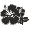 Гавайский цветок гибискус
