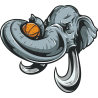 Слон с баскетбольным мячом